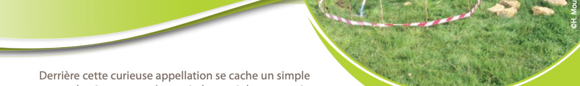 Créer une spirale à aromatiques - ARTHROPOLOGIA