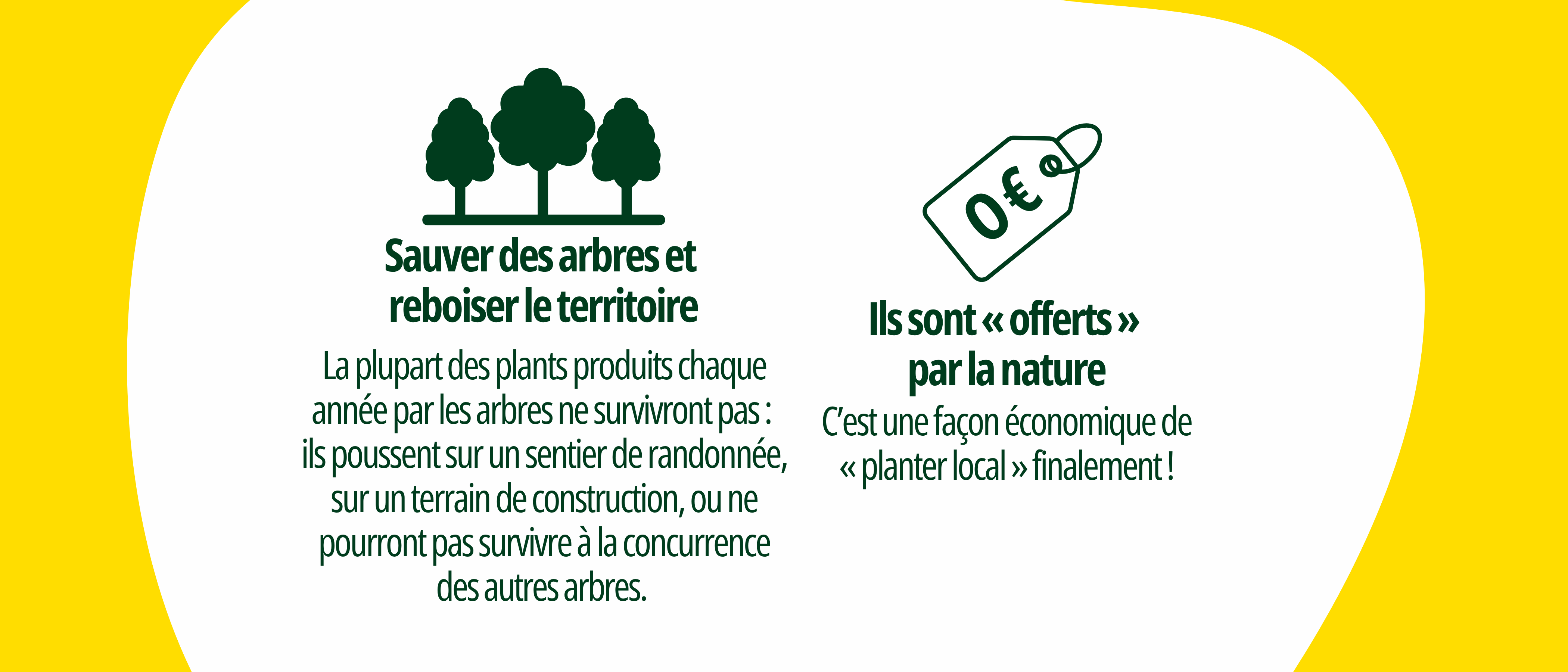 Design%20sans%20titre%20%281%29