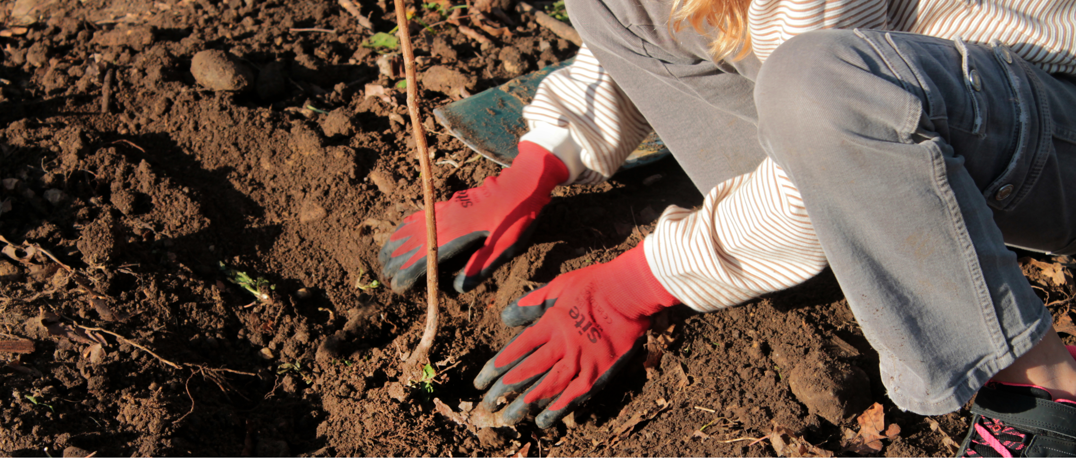 Design%20sans%20titre%20%282%29