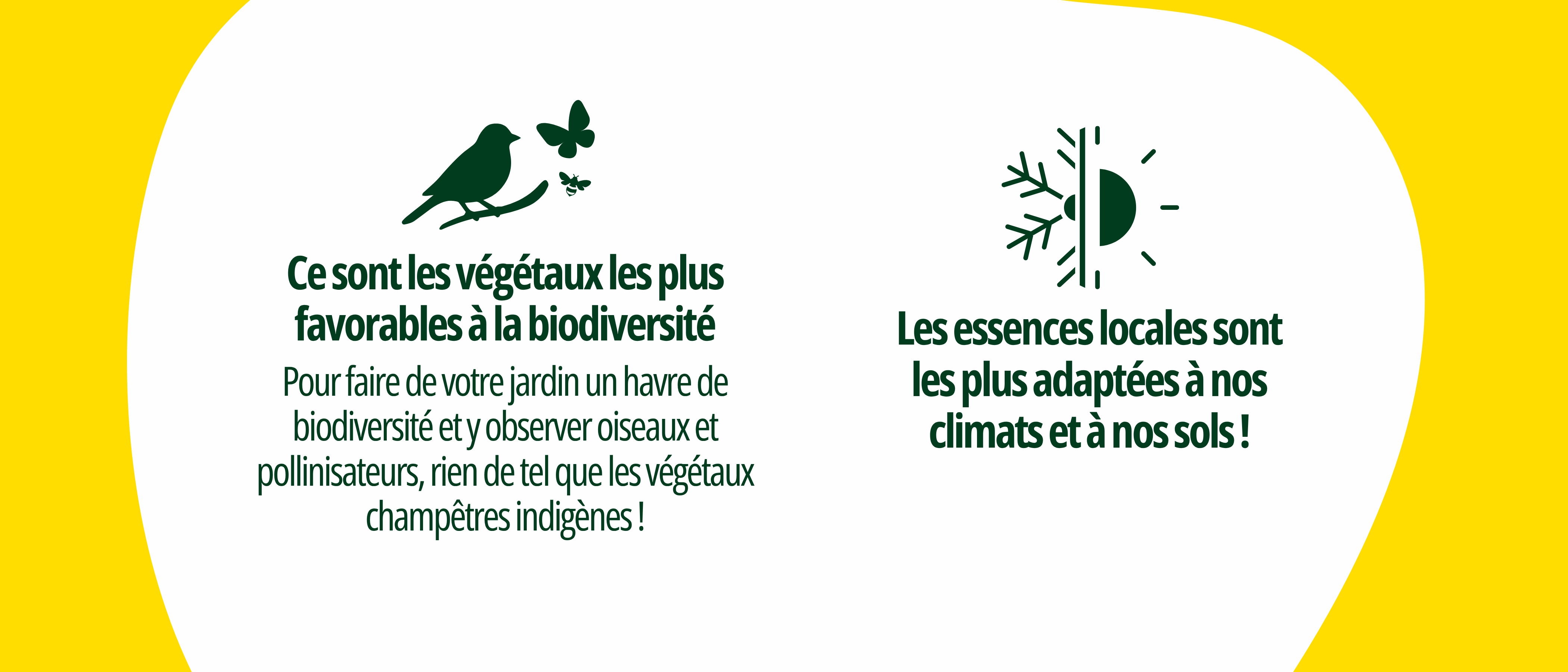 Design%20sans%20titre