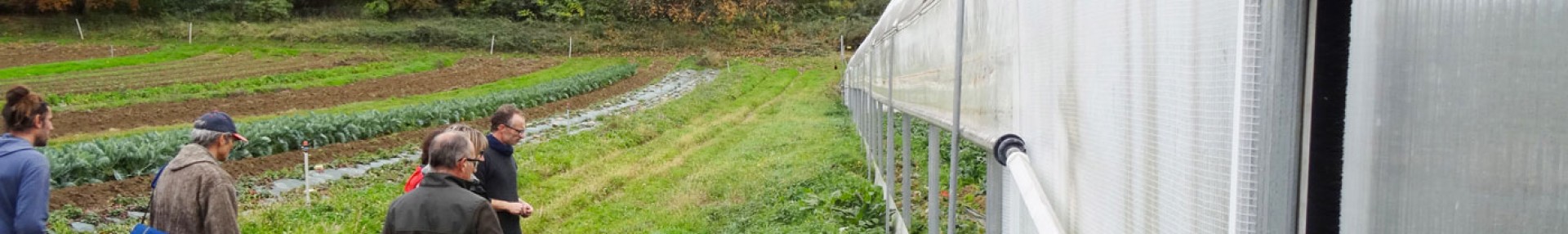 Plantes bio-indicatrices et diagnostics de sols - ARTHROPOLOGIA