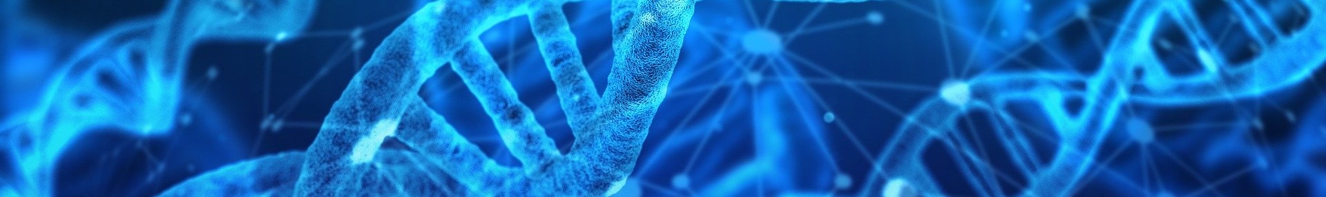 Projet POLBAR - ARTHROPOLOGIA