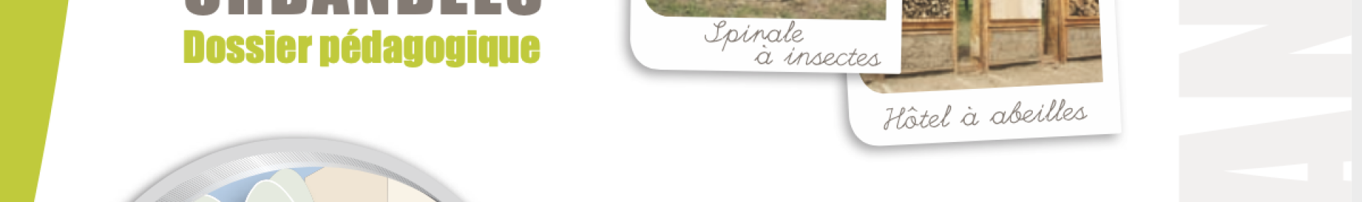 Dossier Pédagogique Abeilles Sauvages Urbanbees - ARTHROPOLOGIA