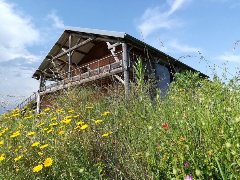 ARTHROPOLOGIA et Oïkos ont réuni leurs compétences pour former une nouvelle structure : l’Ecocentre du Lyonnais