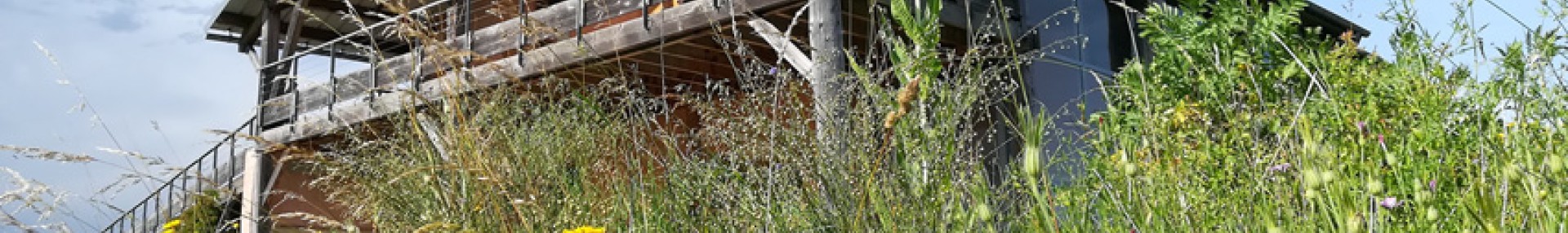 ARTHROPOLOGIA - ARTHROPOLOGIA