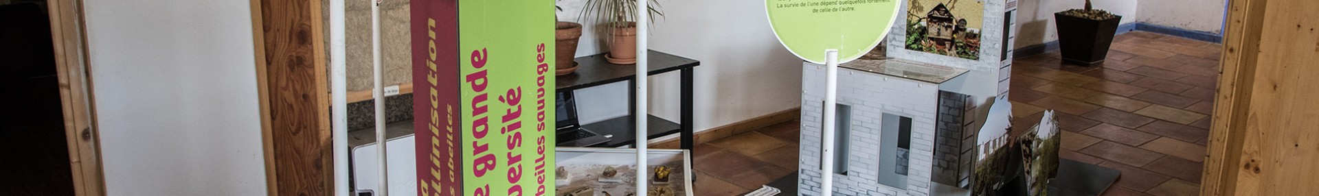 Expositions - ARTHROPOLOGIA