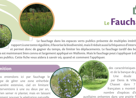 Guide fauchage gestion différenciée