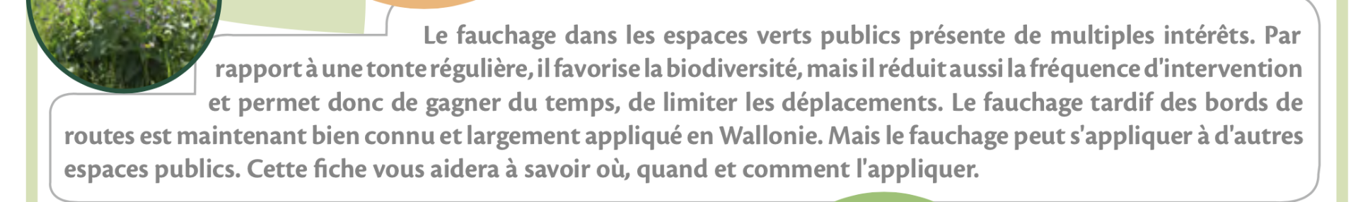 Guide fauchage gestion différenciée - ARTHROPOLOGIA