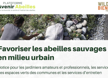 Favoriser abeilles en milieu urbain