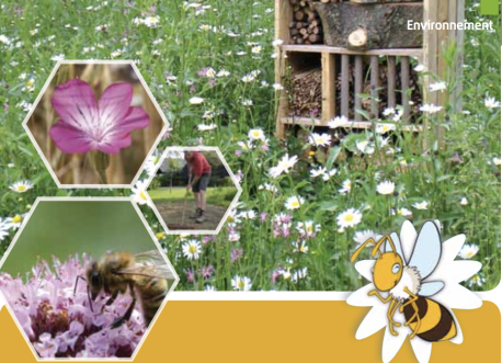 Choix Mélanges fleurs Wallonie