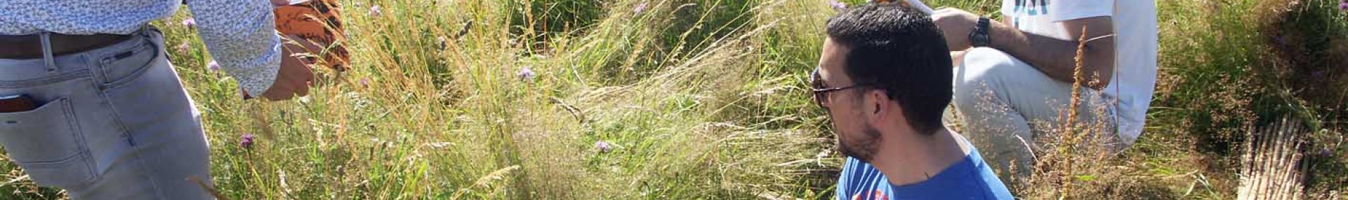 Suivre des indicateurs de biodiversité : FLORILEGES - ARTHROPOLOGIA