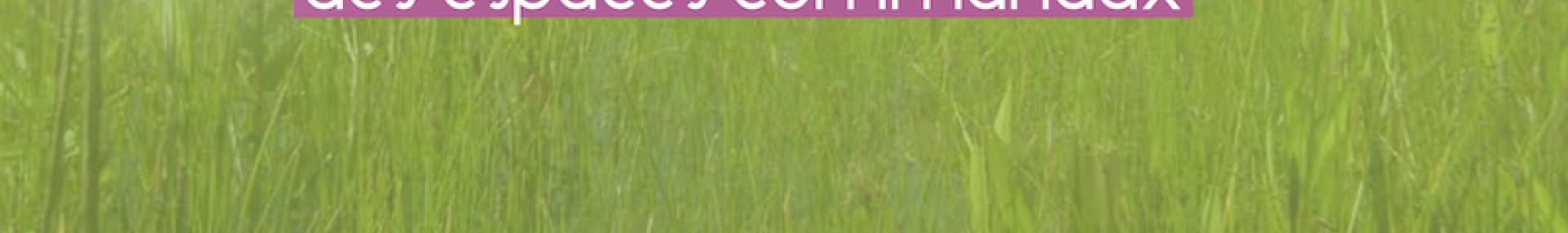 Gestion raisonnable espaces communaux - ARTHROPOLOGIA