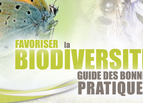 Guide des bonnes pratiques Urbanbees