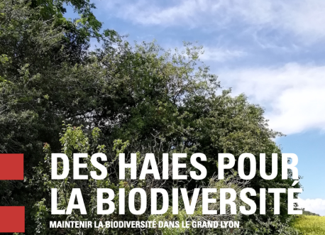 Des haies pour la biodiversité