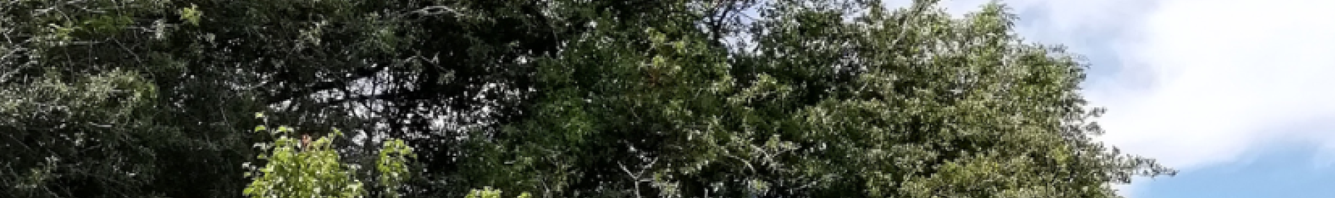 Des haies pour la biodiversité - ARTHROPOLOGIA