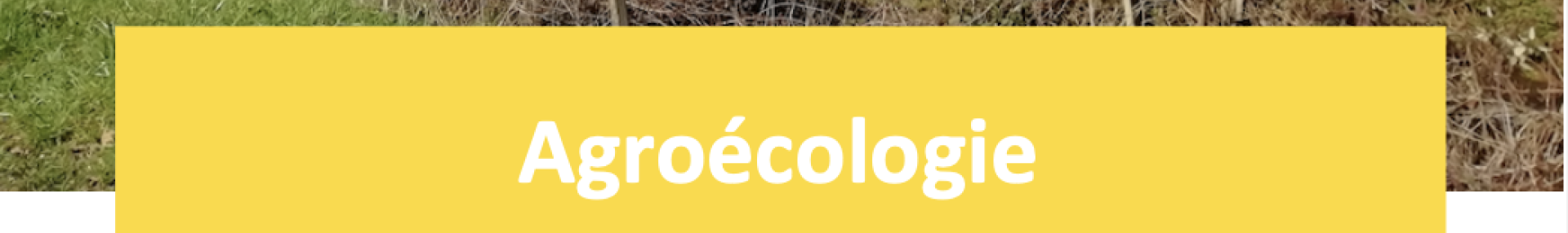 Guide haie spontanée - ARTHROPOLOGIA