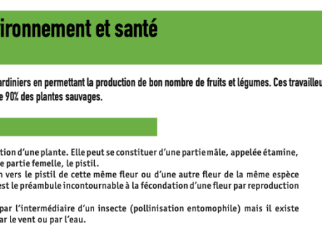 Insectes, fleurs et pollinisation