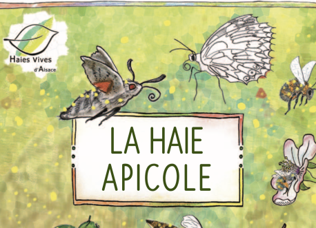 La haie apicole