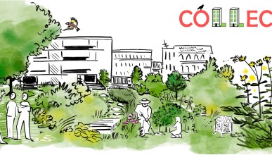 Le projet COLLECTIFS