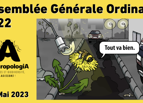 Rapport d'activités 2022