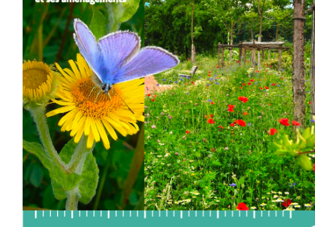 Diag Pollinisateurs Espaces Verts