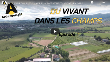 Série vidéo : Du vivant dans les champs