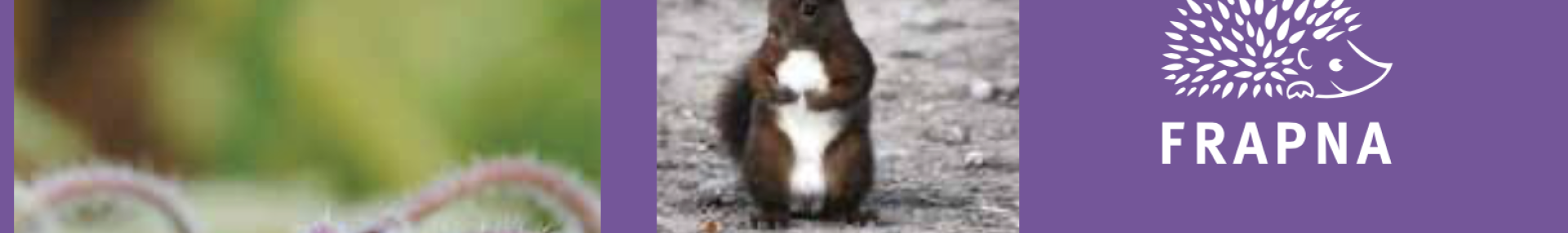 Guide plantations FNE - ARTHROPOLOGIA