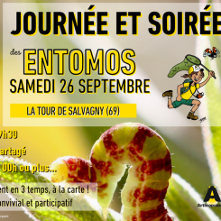 Journée et soirée des entomos 2026