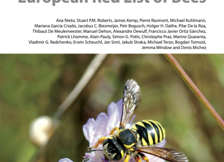 Liste rouge européenne abeilles