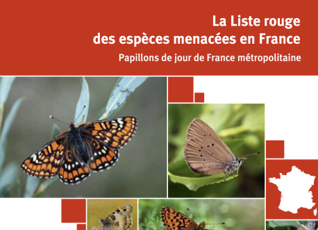 Liste rouge française papillons