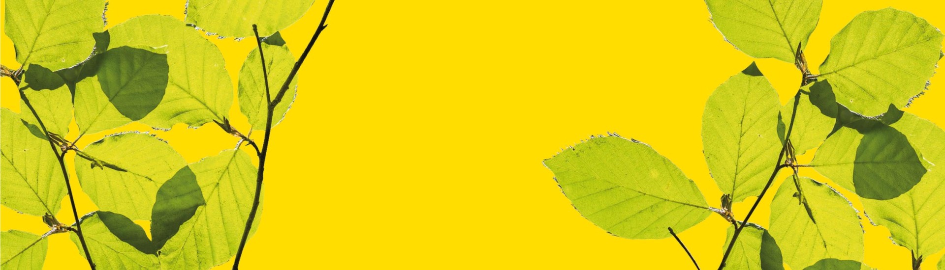 Introduction - ARTHROPOLOGIA