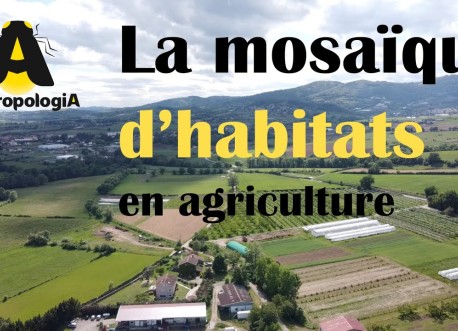 La Mosaïque d'habitats - Série du Vivant dans les champs, Épisode 1 - Biodiversité et agriculture