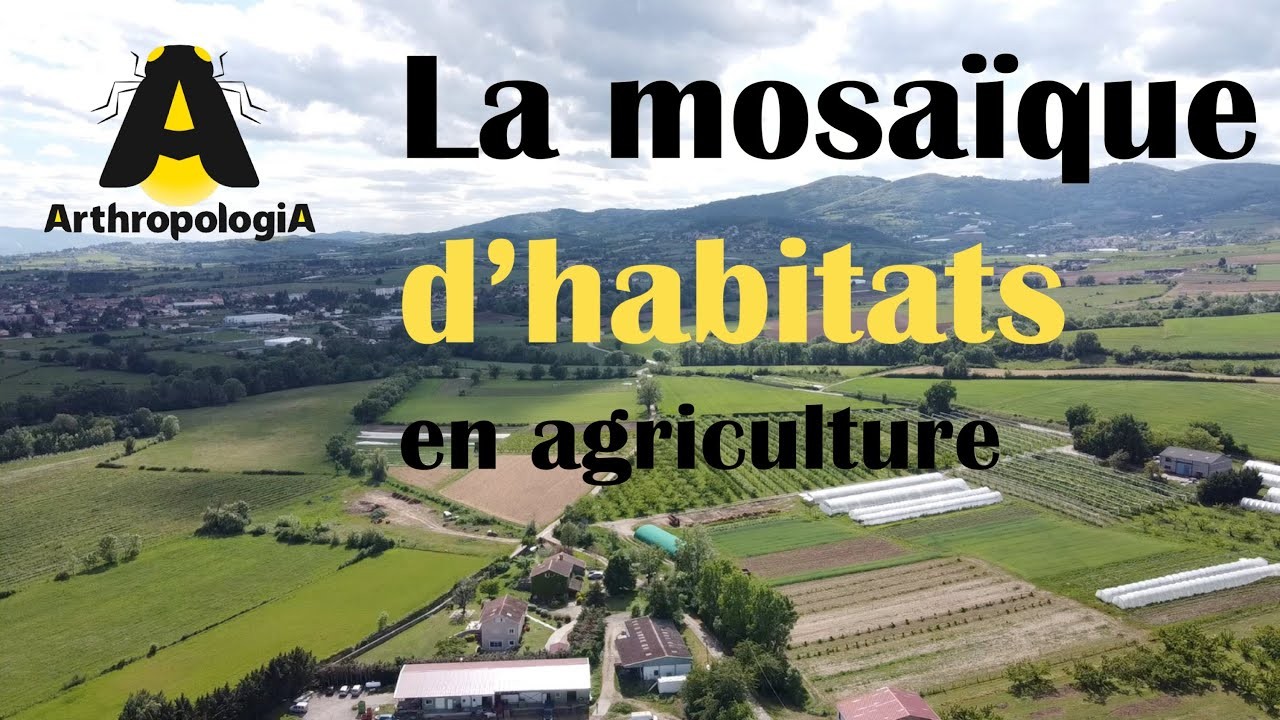 mosaique-habitats-agriculture-episode-1-serie-du-vivant-dans-les-champs