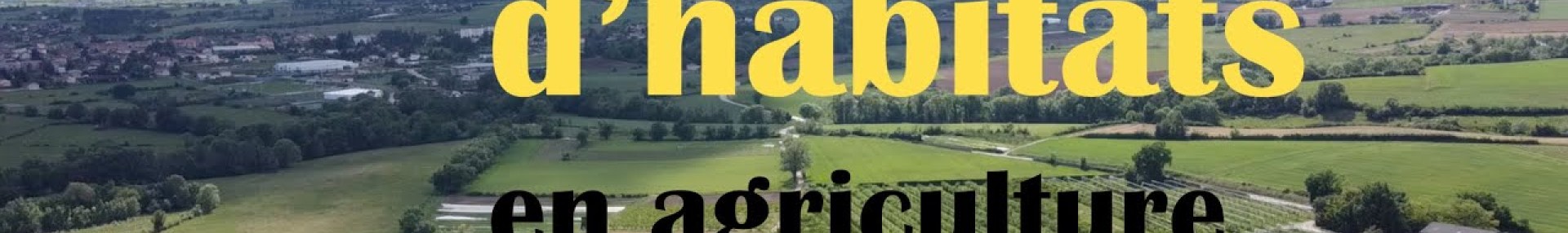 La Mosaïque d'habitats - Série du Vivant dans les champs, Épisode 1 - Biodiversité et agriculture - ARTHROPOLOGIA