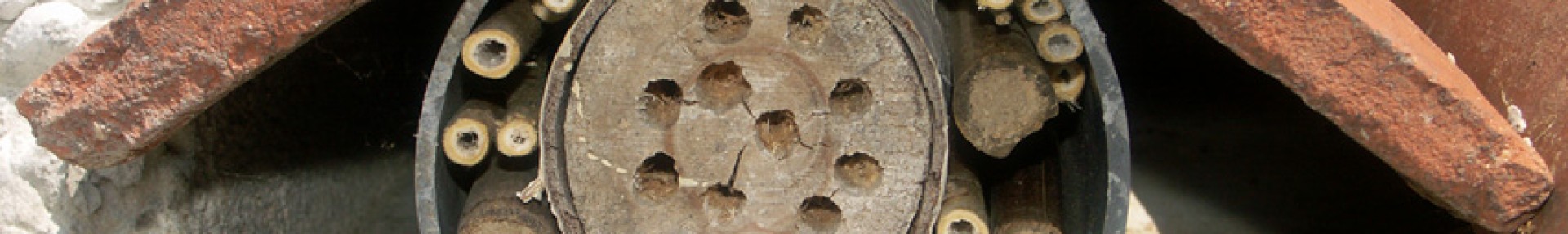 Aménager pour les pollinisateurs sauvages - ARTHROPOLOGIA