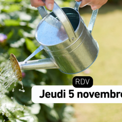 Gestion de l'eau au jardin
