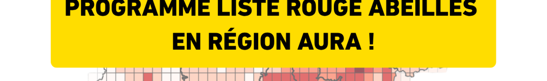 Programme complet des animations du programme Liste Rouge Abeilles en région AURA - ARTHROPOLOGIA