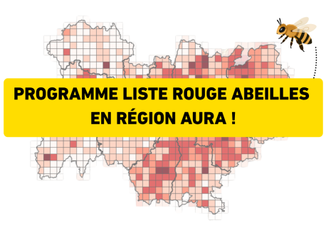 Programme complet des animations du programme Liste Rouge Abeilles en région AURA