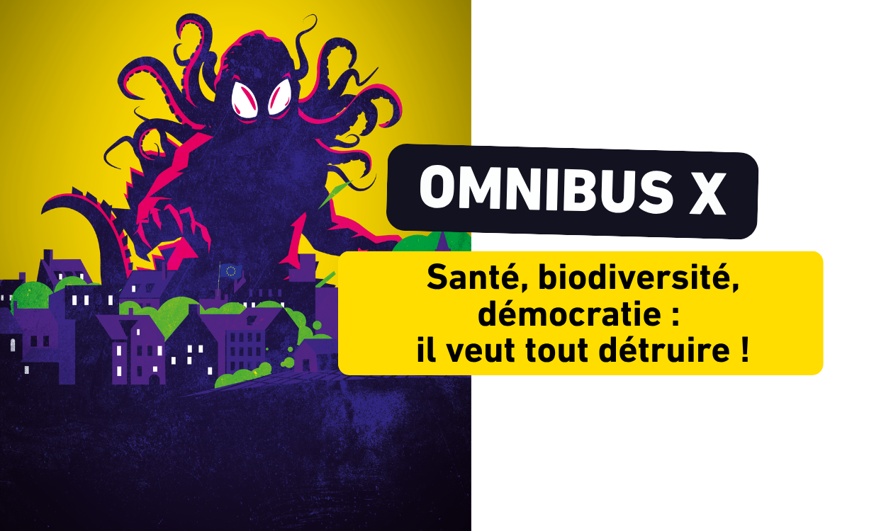 omnibus omnibus