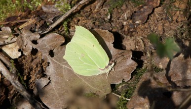 Suivre des indicateurs de biodiversité : PROPAGE