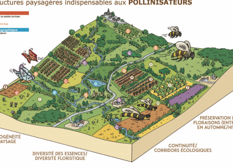 Guide paysages propices aux pollinisateurs