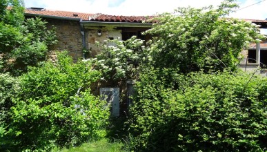 Ré-ensauvager son jardin