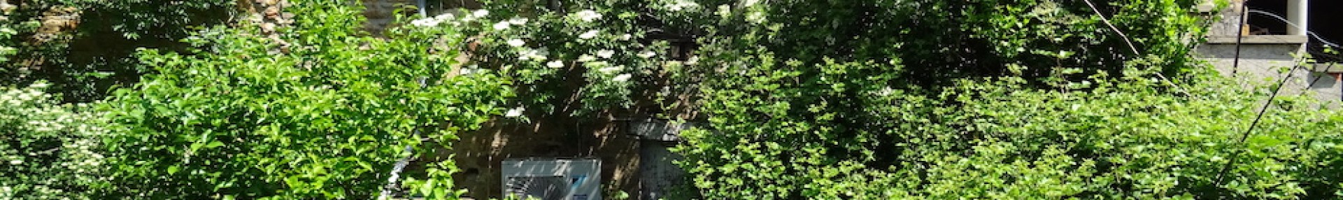 Ré-ensauvager son jardin - ARTHROPOLOGIA