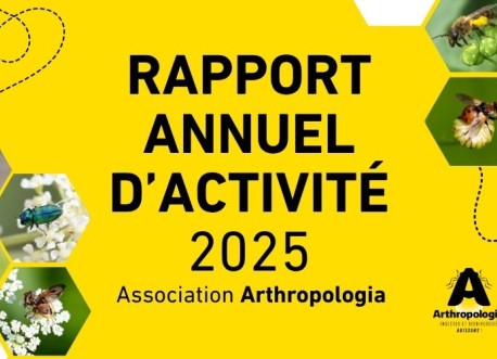 Rapport d'activités 2025