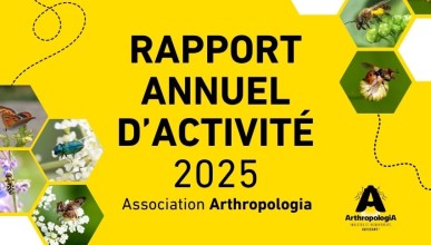 2025, une année riche en projets