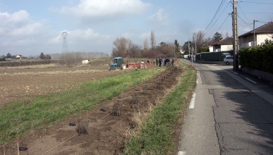 Aménager pour favoriser la biodiversité