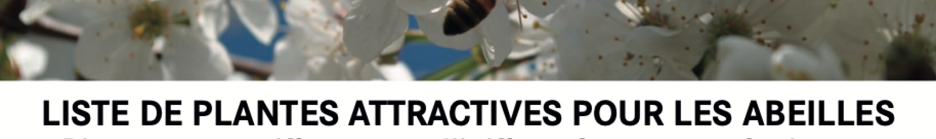 Liste Plantes Attractives pour les Abeilles - ARTHROPOLOGIA
