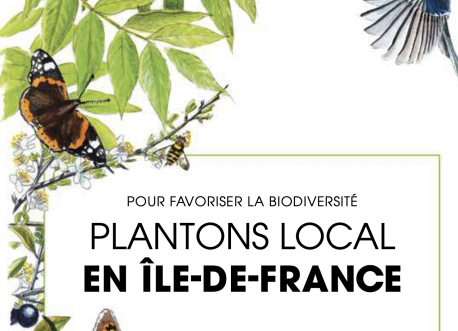 Plantons Local IDF