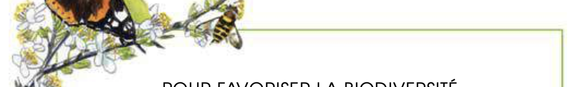 Plantons Local IDF - ARTHROPOLOGIA