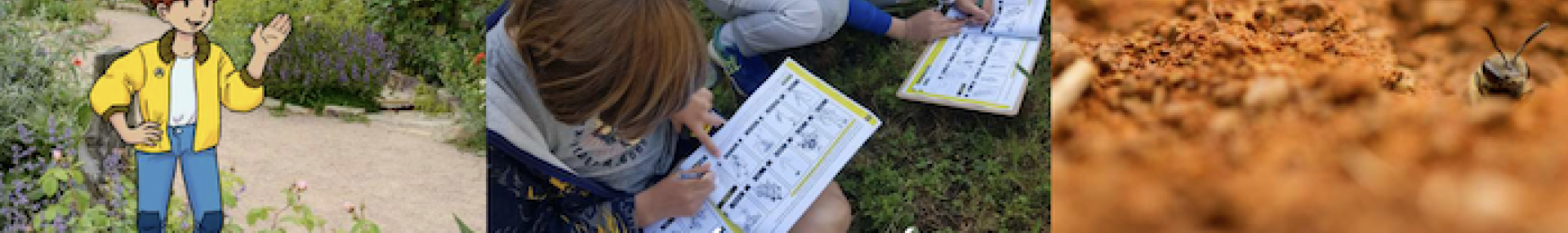 PollinisActions, guide pratique des équipes pédagogiques - ARTHROPOLOGIA